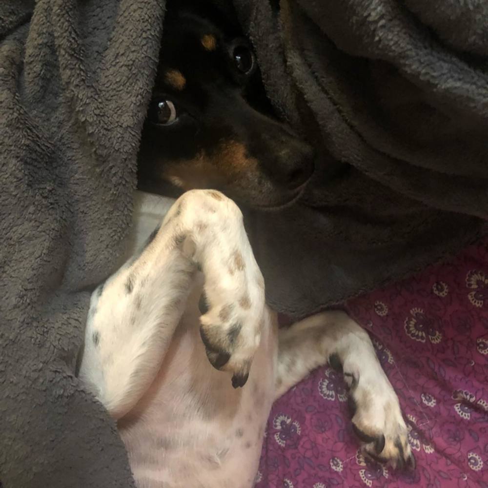 Meet your Posher, Ruby